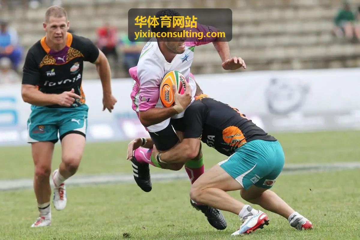 华体育网站校园体育赛事与青少年体能训练场景