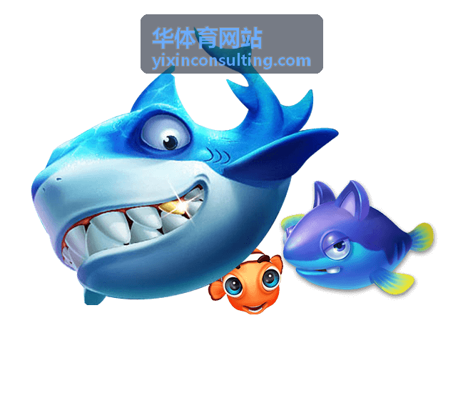 华体育网站场馆排期与日常运营托管场景